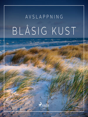 cover image of Avslappning--Blåsig kust